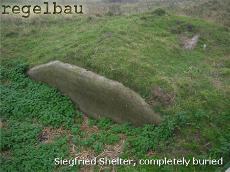 105_Siegfried
