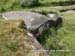 161_syd_fstand_02-01