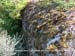 163_syd_fstand_02-02