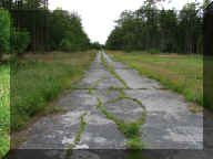 rom_80.jpg (229583 byte)
