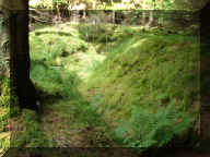 rom_91.jpg (290153 byte)